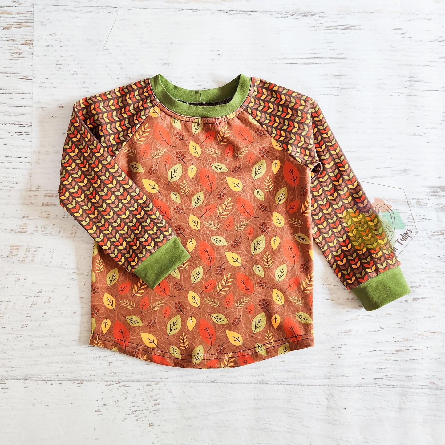 Fall leaves long sleeve raglan, size 2/3t