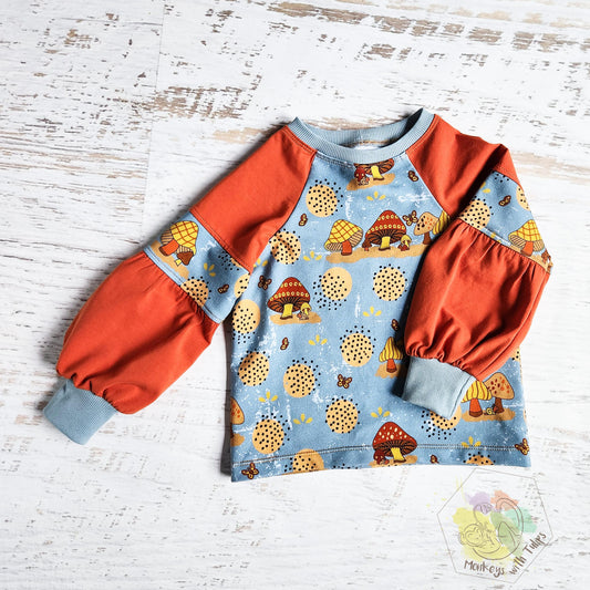 Mushroom house bishop sleeve raglan, size 2t