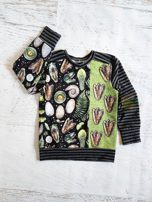 Long sleeve applique dino tracks pullover, 4t